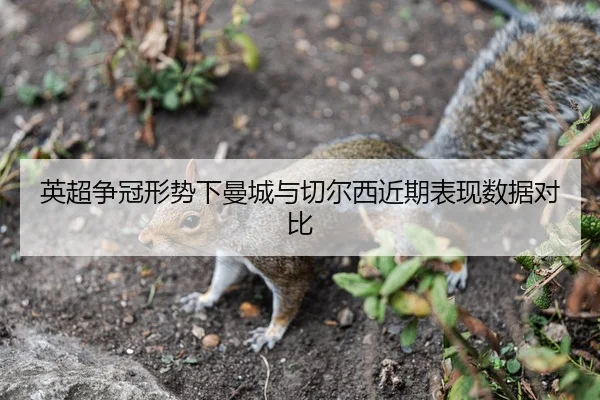 英超争冠形势下曼城与切尔西近期表现数据对比